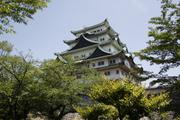 Nagoya Castle